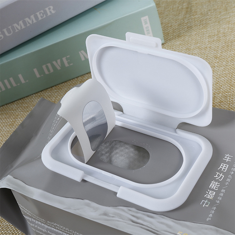 Composite Plastic Accordion Bag for Facial Cleansing Towels, Face Towels, Cotton Soft Towels, Packaging Bag, Extractable Wet Wipes Bag with Logo Printing