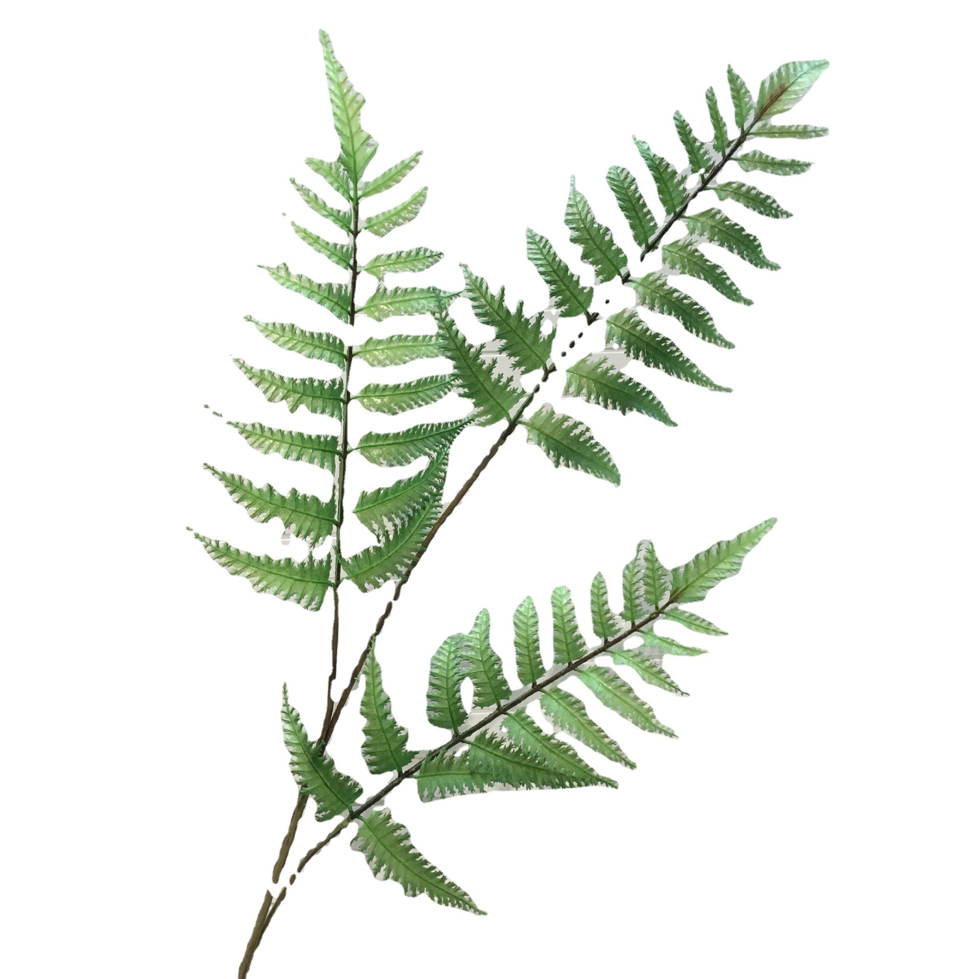 Artificial Asparagus Black Bone Mans Saw Leaf Home Decoration Fern Artificial Plant Potted Plant Green Plant Plastic Fake Grass Persian Grass