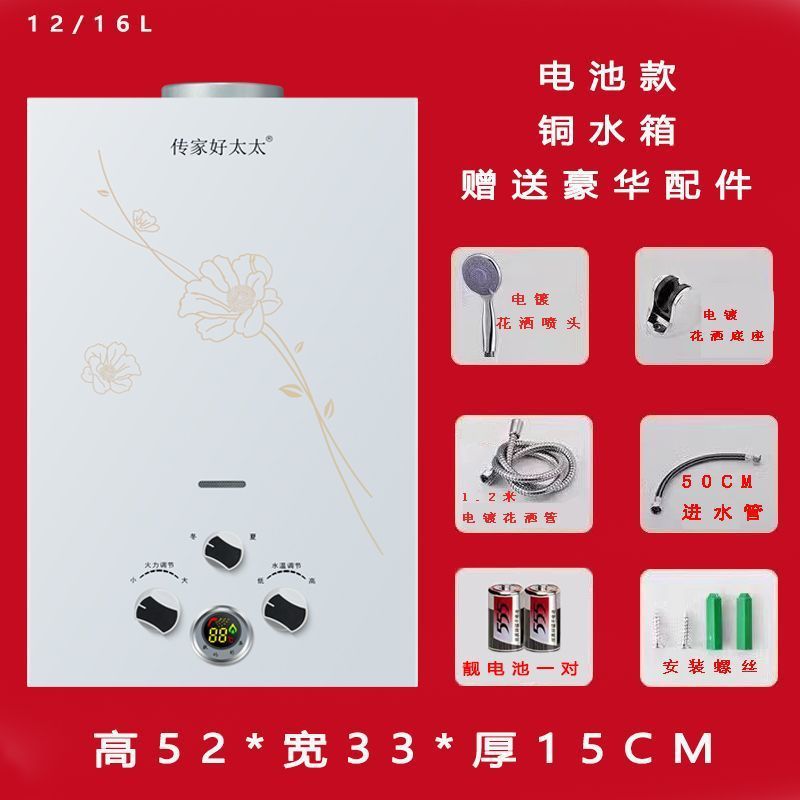 Gas Water Heater Household Balanced Bathroom Bath Natural Gas Liquefied Gas Gas Battery Forced Exhaust Bathroom