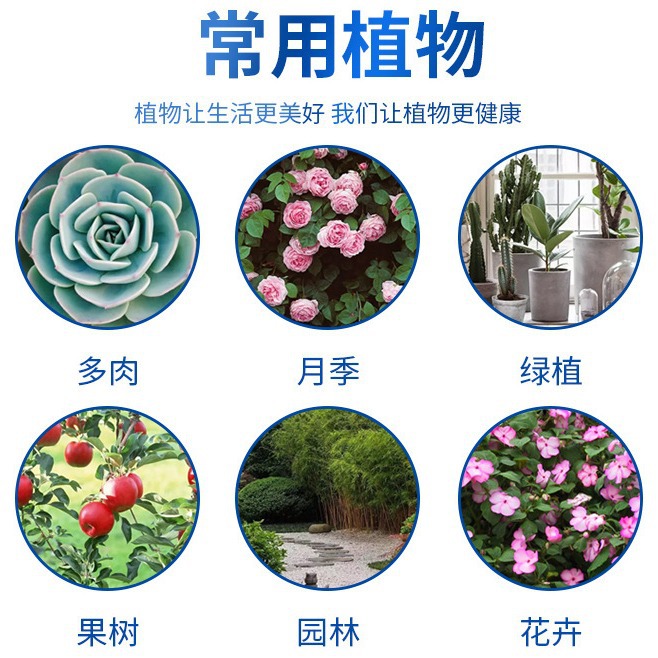 100g Guoguang Carbendazim Fungicide Carbendazim Universal Anther Fungicide Rose Succulent Green Dill Plant