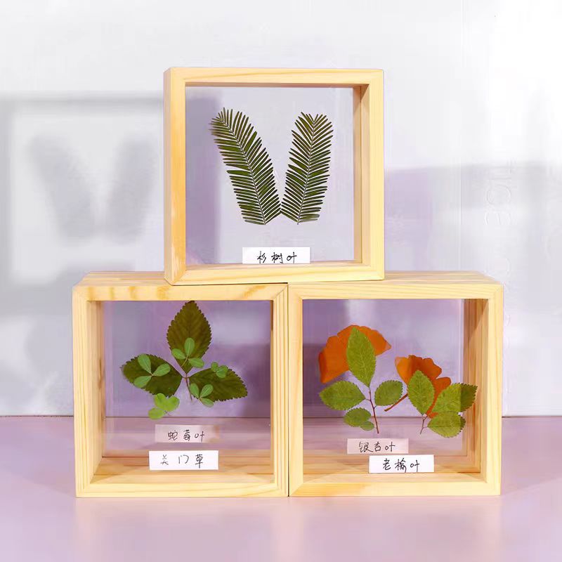 Acrylic Specimen Glass Picture Frame Solid Wood Photo Frame Kindergarten DIY Painting Dried Flowers Art Materials Handmade