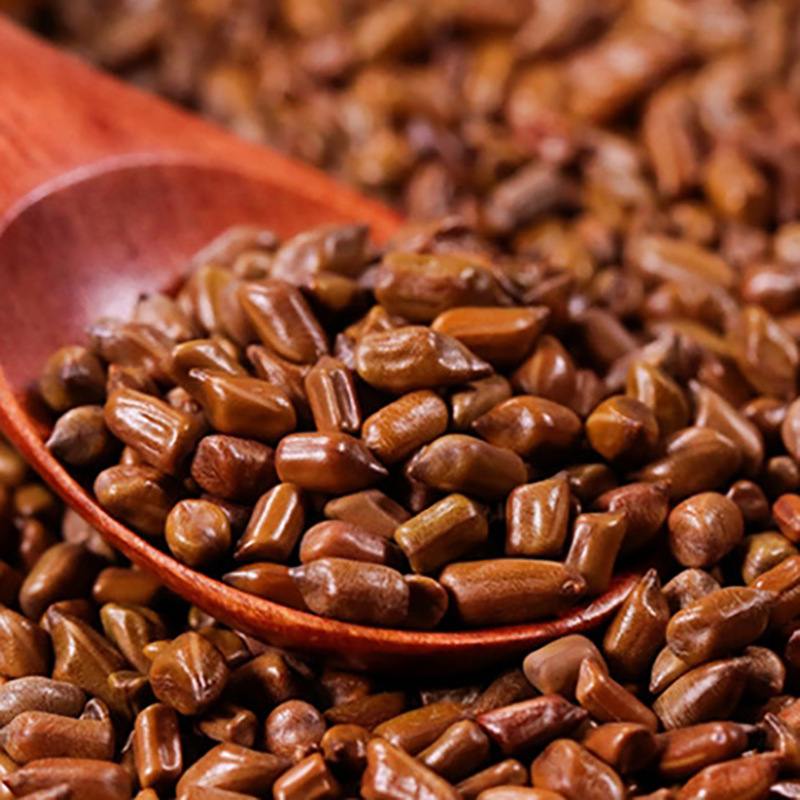 Cassia Seed Tea Roasted Authentic Flagship Store Chinese Herbal Medicine Bulk Premium Wholesale Wild Cassia Seed Tea