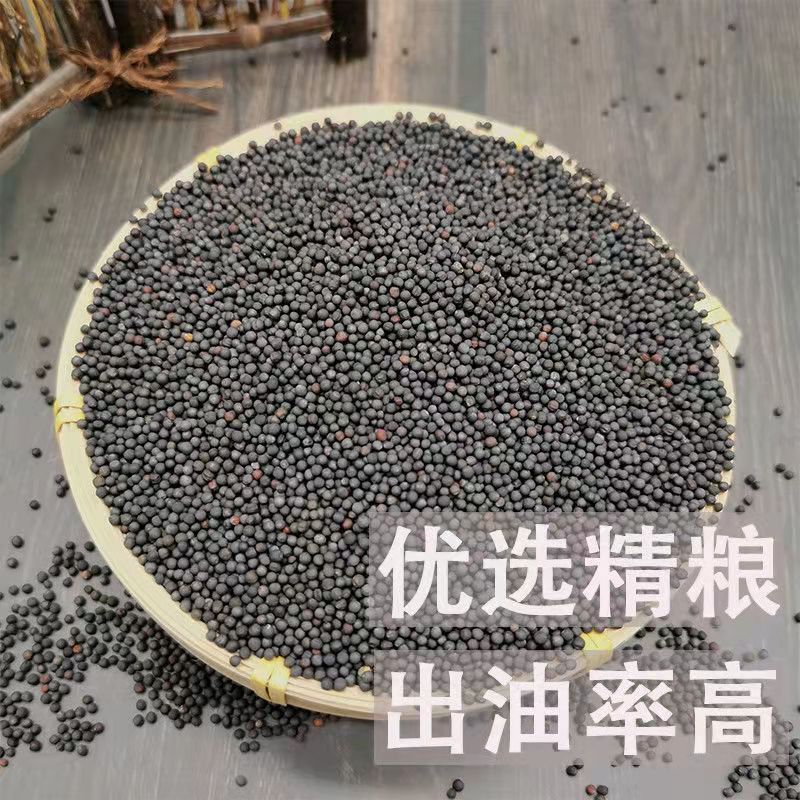 семена рапса из Хэнани, 500 г/упаковка