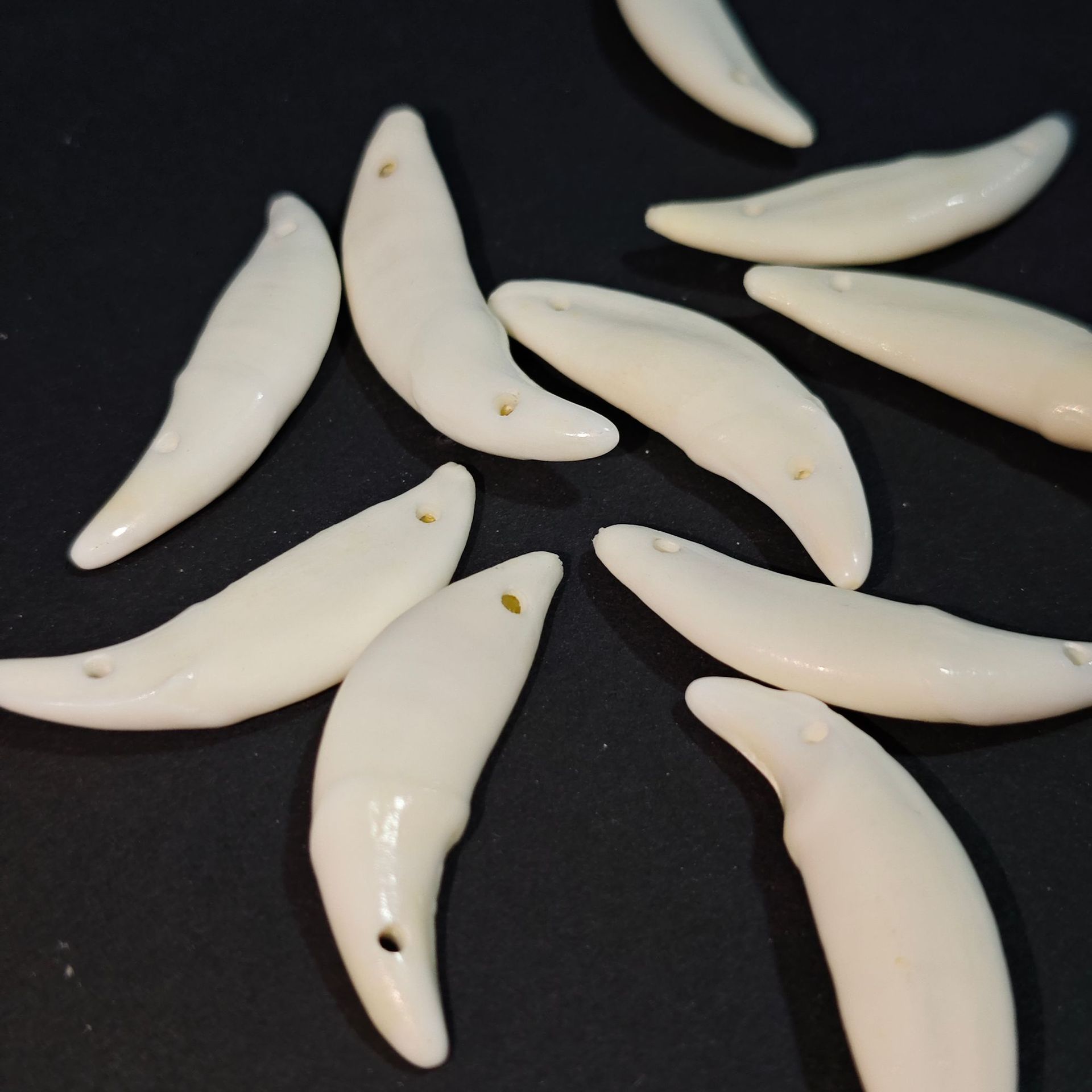 Wholesale Xizang-Style Necklace Pendants Made from Real Dog Teeth, Black Dog Tooth Jewelry Accessories, Wolf Tooth-Shaped Black Dog Teeth