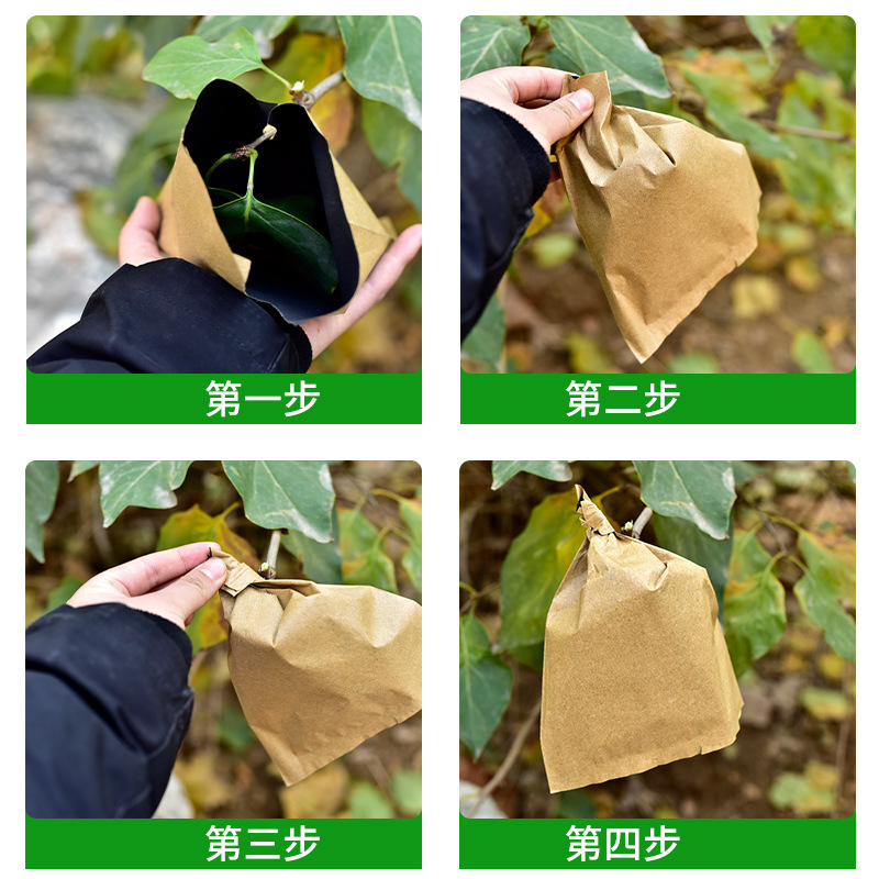 Special Bagging for Loquat, Loquat Bag, Yipin Jinnong Mango Bagging Manufacturer, Fruit Bagging, Waterproof and Sunscreen