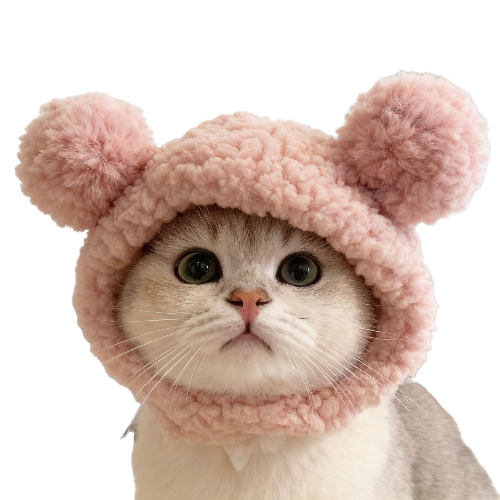 Cross-Border Pet Headgear Cute Cat Small Dog Winter Warm Headgear Headgear Cross-Dressing Hat Chicken Pet Headgear