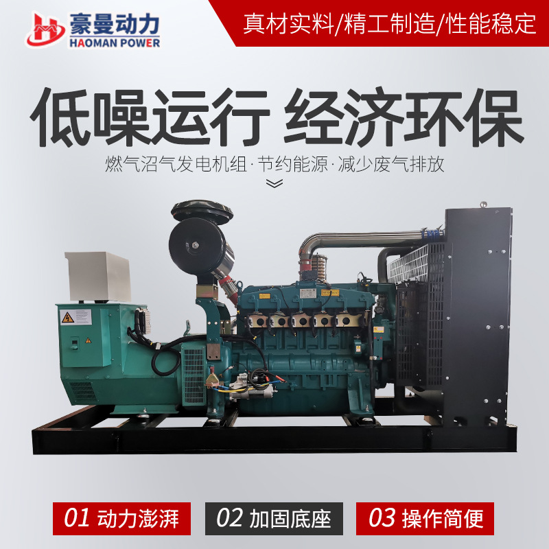 250KW natural gas generator 300kw 500kw 600 kw800KVA 1000 kW biogas generator set