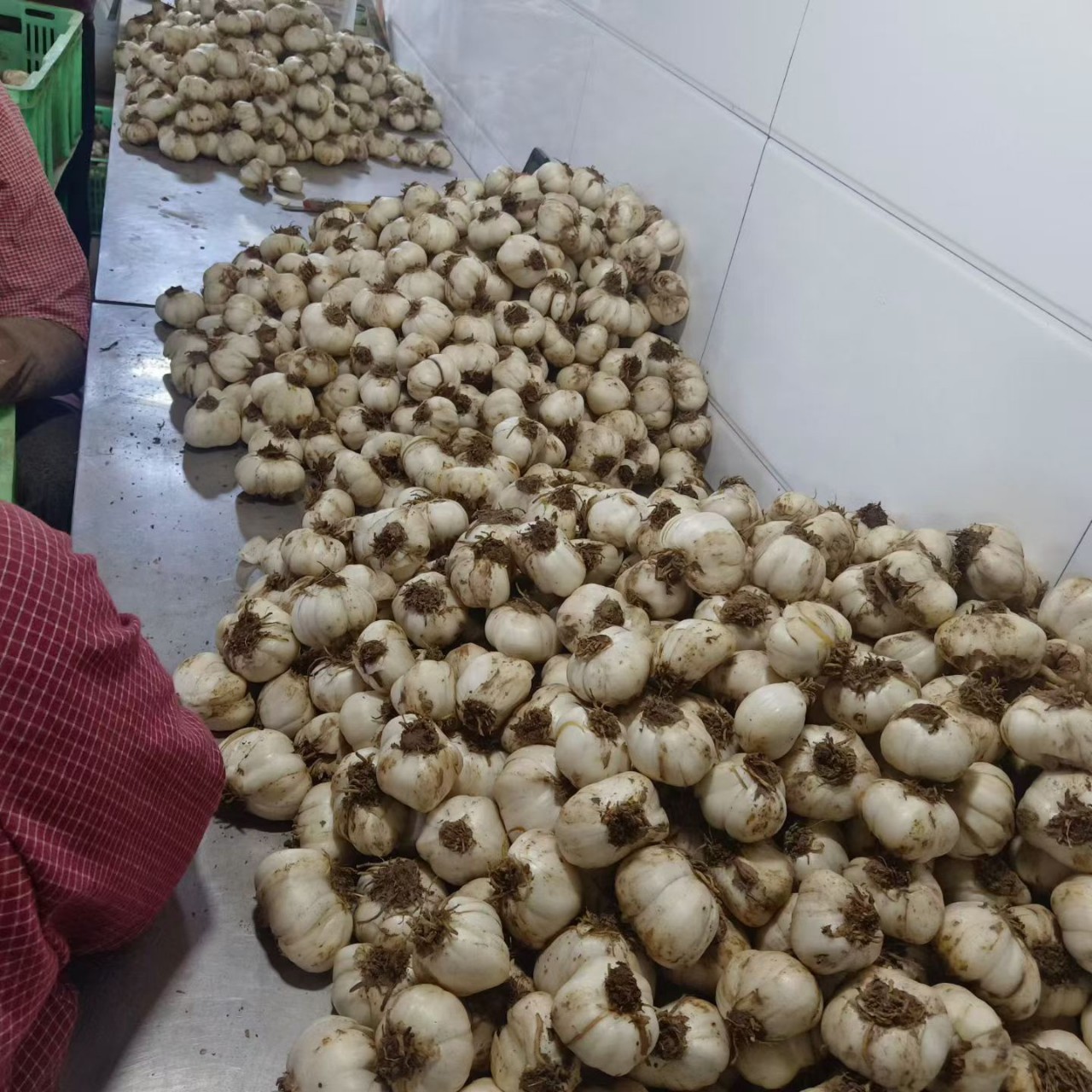 Lanzhou Fresh Edible Lily Bulbs, Sweet Fruit Lilies 500g, Lily Medicinal Herbs, Direct Delivery from the Place of Origin