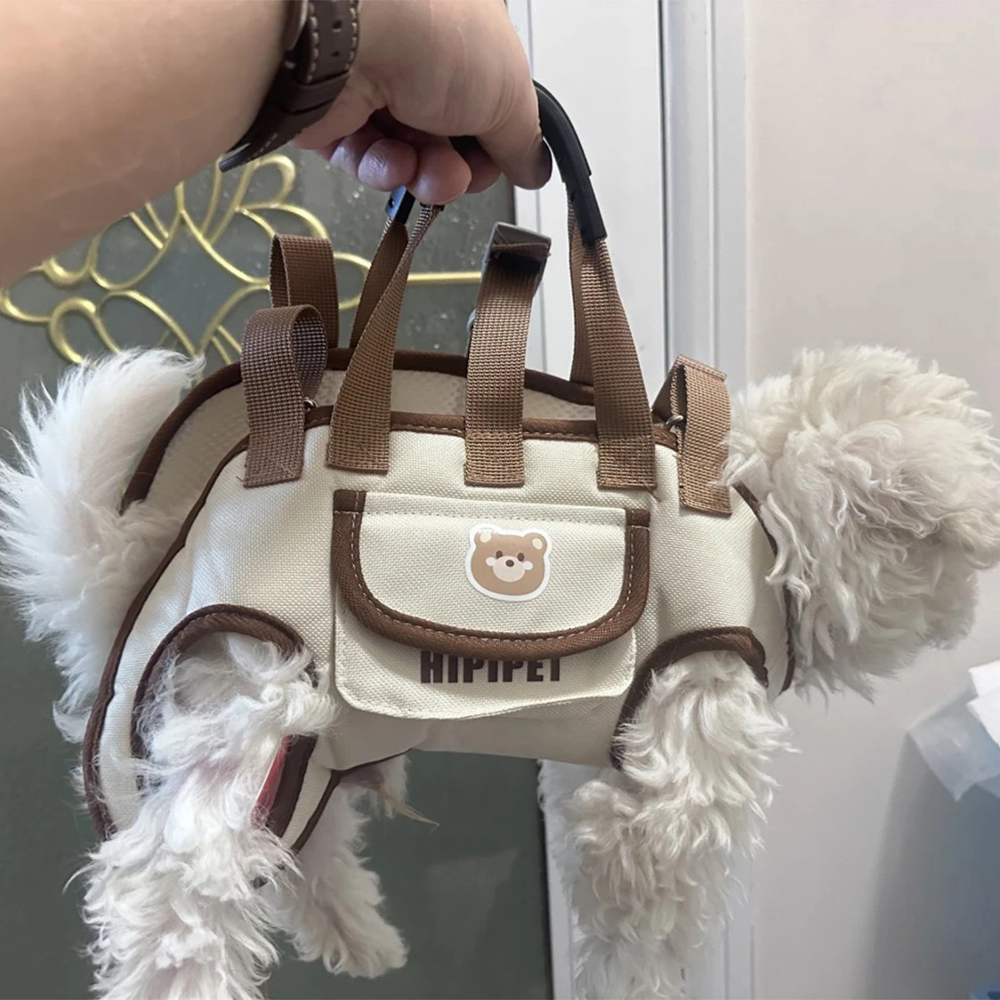 Рюкзак для выгула собак через границу, плечевой переносной рюкзак для домашних животных, портативный, дышащий, с перекрестным ремнем