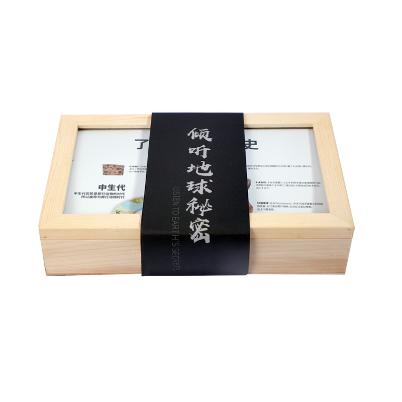 Ancient fossils understand the history of life gift box animal teeth chrysanthemum fossil specimen popular science collection gift box
