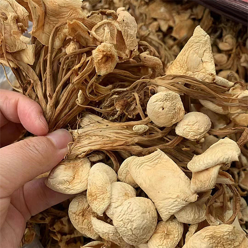 2025 New Bulk Dried Goods Enoki Mushroom Edible Fungi Market Exhibition Stall Products Enoki Mushroom Dried