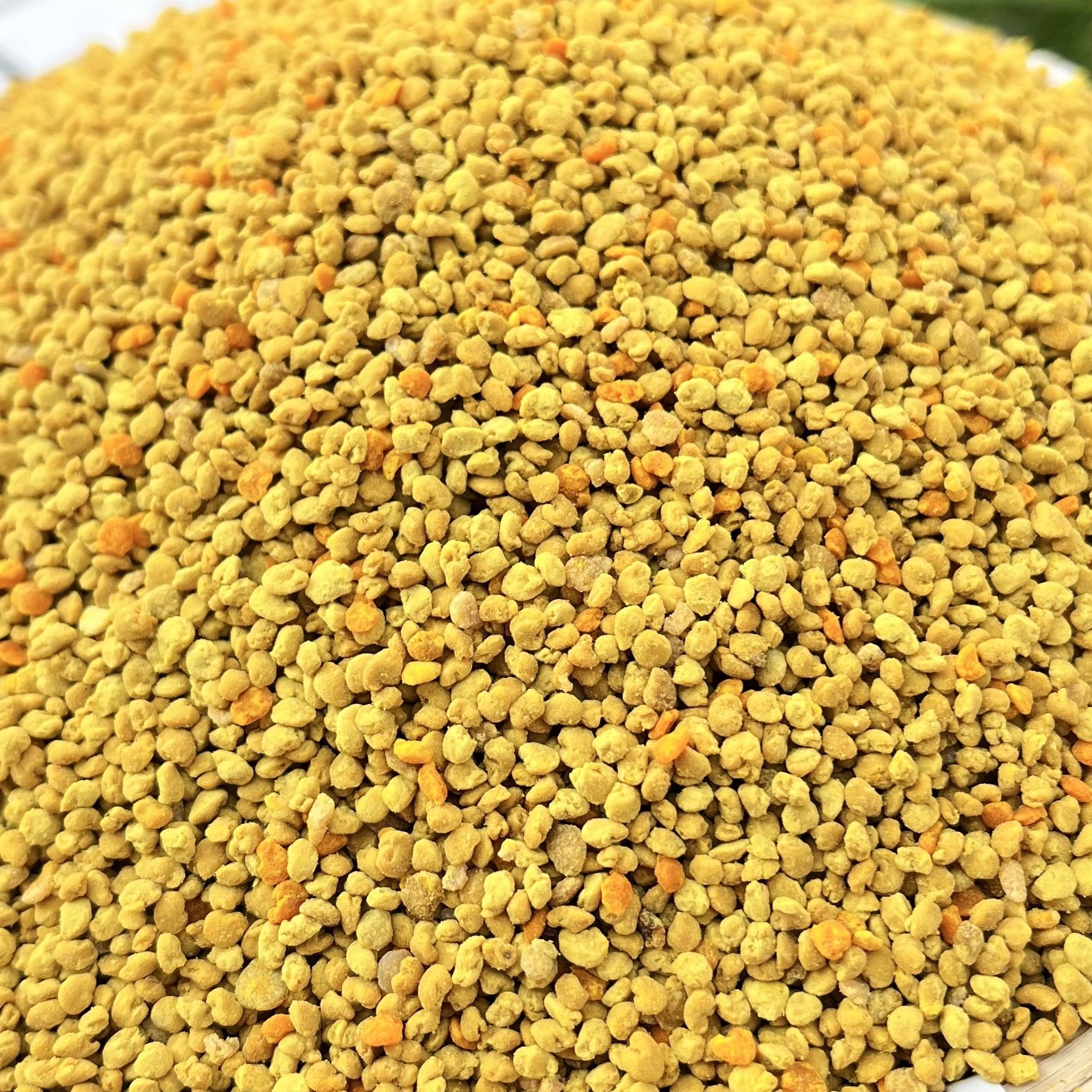 Qinghai Rapeseed Pollen Mixed Powder Beekeeping Edible Bee Feed Feeding Bee Pollen Bee Food Autumn Breeding and Wintering 500g Wholesale