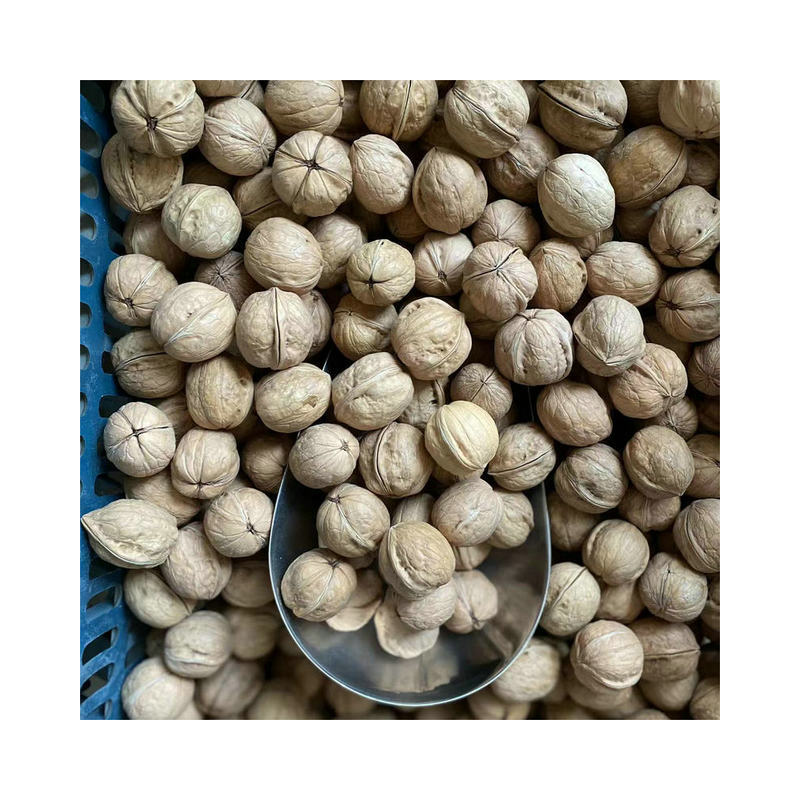 2025 New Arrivals Xinjiang Original Thin-Skinned Small Walnuts Bagged Paper-Skinned Walnuts Snacks Nuts New Year Goods Wholesale