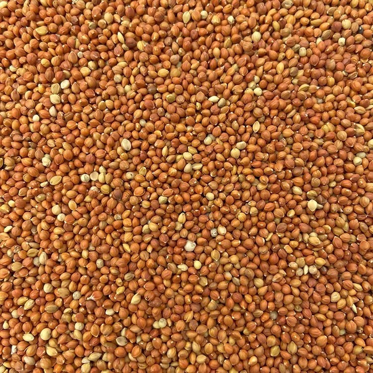 Wholesale Red Millet, Multigrain Red Millet, Five-Color Millet, Millet with Black and White Millet, Bird Food, Toy Filling Wholesale