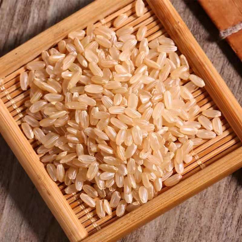 The season's new brown rice northeast germ rice supply cereals coarse grains bulk said farm-produced rice a generation