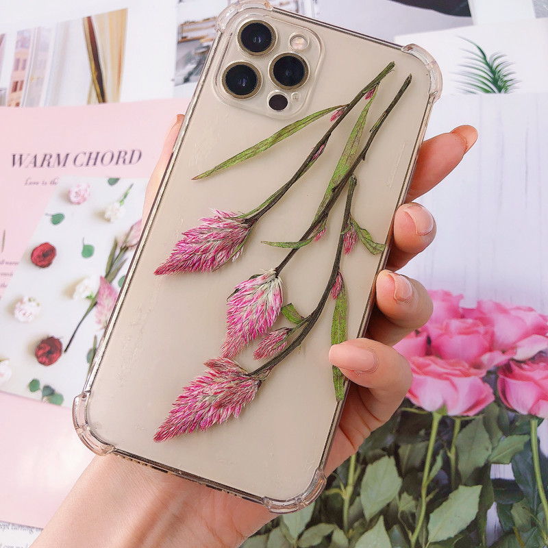 Cockscomb dried embossed plant specimen teaching children DIY handmade photo frame aromatherapy candle greeting card gift box packaging