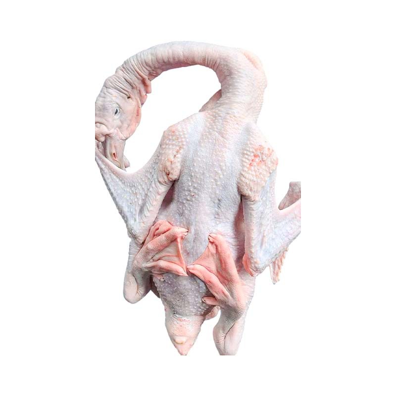 Chaoshan Lion Head Goose