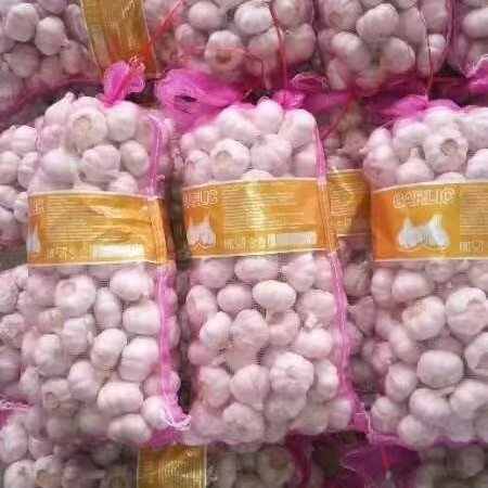 Shandong Garlic Wholesale: 4.5-6cm Purple-Skinned Dried Garlic Heads, Ample Stock, Peeled, High-Quality, Premium Selection from Self-Grown Farms