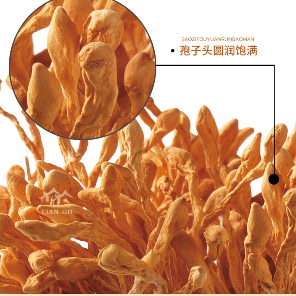 Cordyceps Flower Cordyceps Flower Dry Goods Authentic Special Grade Beijin Cordyceps Militaris Mushroom Spore Head New Goods Soup