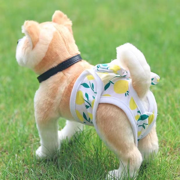 Dog physiological pants puppy anti-harassment peace of mind pants Teddy female dog menstrual diaper sanitary pants pet holiday pants