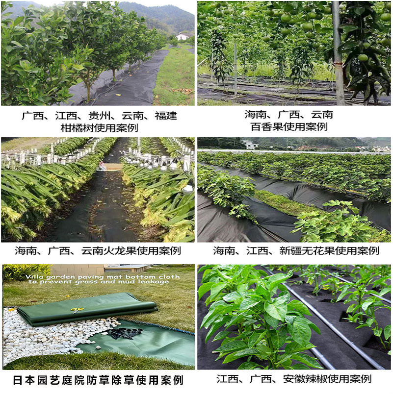 Cross-Border Pp Non-Woven Weed Control Fabric for Agriculture and Horticulture, Permeable and Not Prone to Aging, Orchard Weeding Mat, Cross-Border Mulch Film