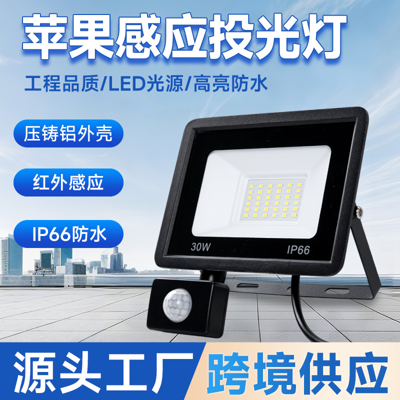 Светодиодный прожектор 100W с инфракрасным датчиком движения, маленький яблочный светильник