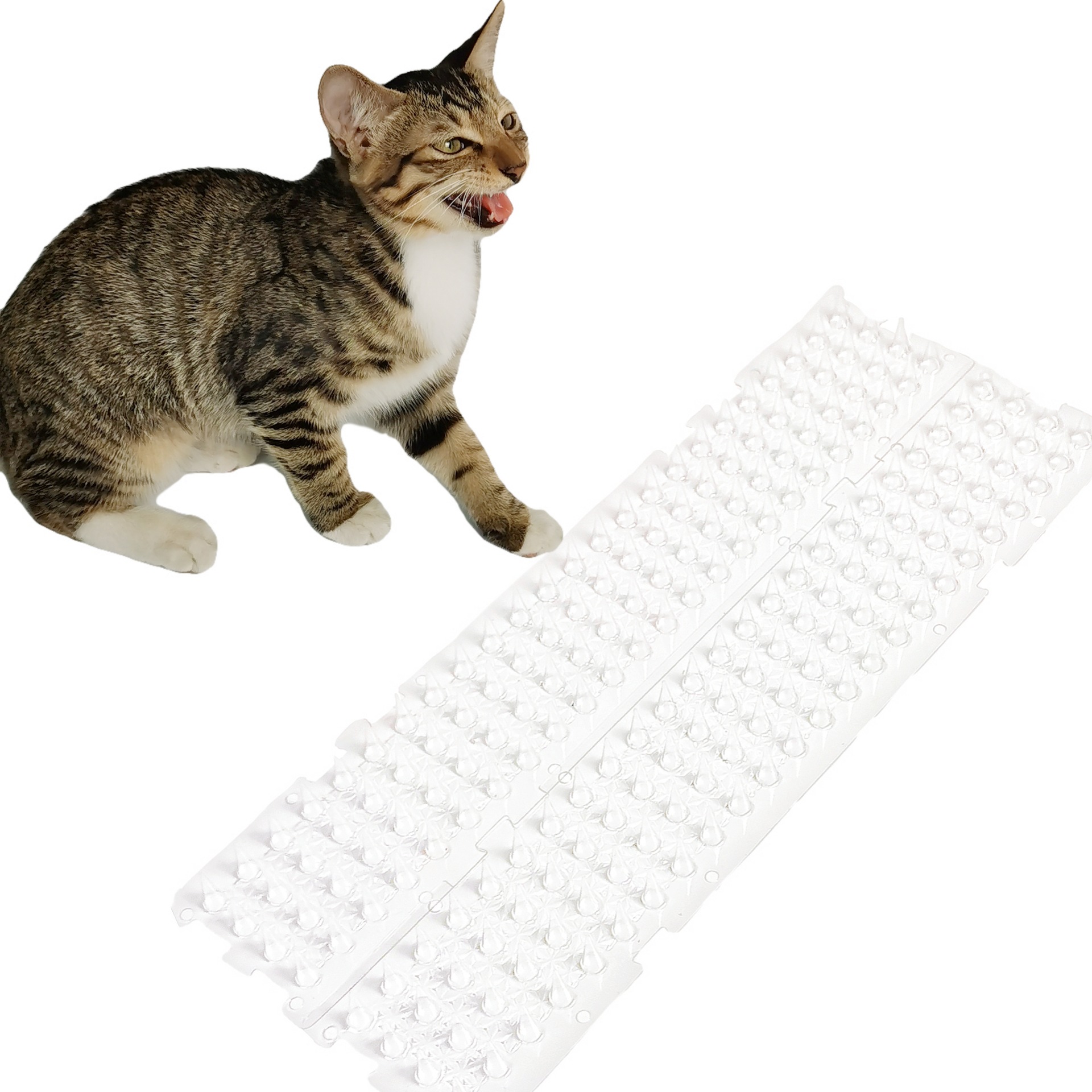 Pet Transparent Plastic Rainproof and Cat Thorn Protective Nails Are Suitable for Indoor and Outdoor Pigeons and Squirrels to Prevent Cat Thorns