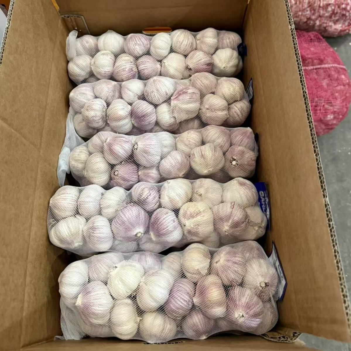 Shandong Purple-Skinned Garlic, 1.0kg Large Dried Garlic Bulbs, Multi-Flake Garlic Heads, Sun-Dried Fresh Garlic, Seasoning Purple-Skinned Garlic, Large Cloves