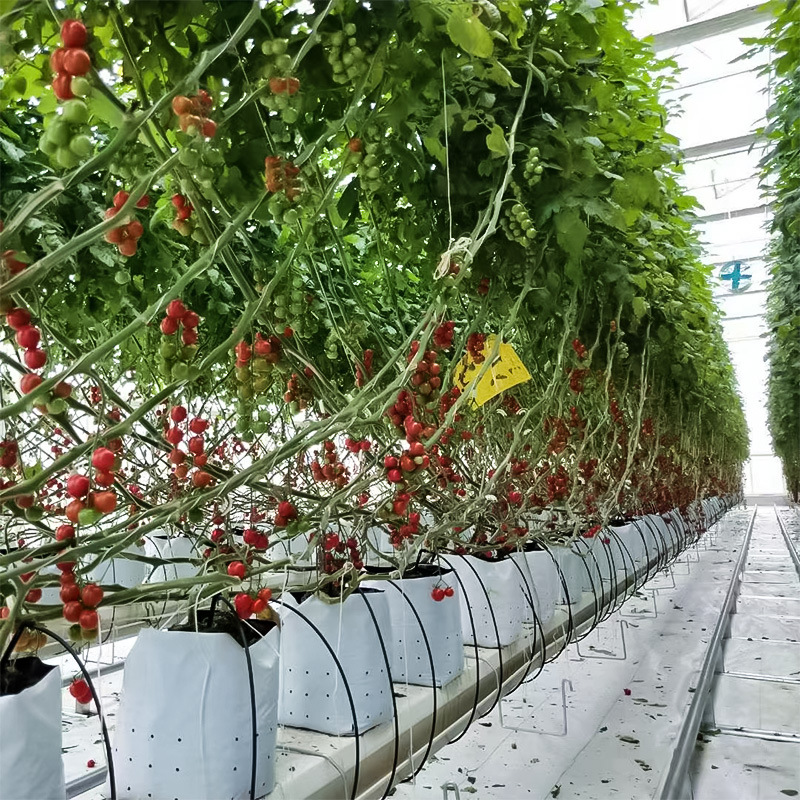 Customized Planting Bags with Black and White Insulation, Biodegradable Substrate, Peat Soil, Insulation Film, Cooling for Ganoderma Plants and Vegetables