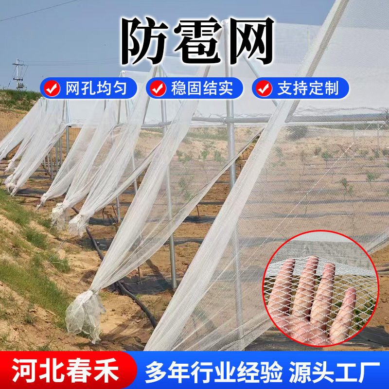 Индивидуальная противоградовая сетка, белый новый материал, антиоксидантная сетка для сада, защита теплицы от птиц