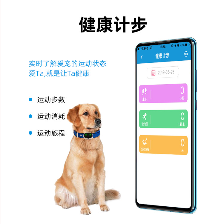 Cross-border Explosions 4G Pet Locator GPS Dog Locator Cat Tracker Cross-border Collar Cat and Dog Anti-lost J