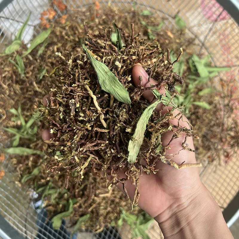 Jianghu stall sales fair mountain honey grass tea mountain honey grass tea stem sweet leaf chrysanthemum herbal tea bulk scented tea wholesale herbal tea