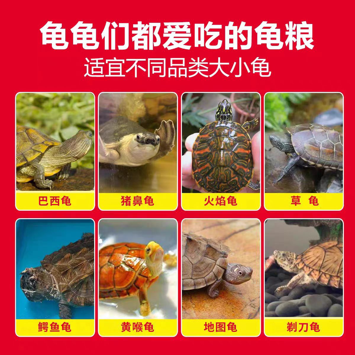 25 Years New Turtle Food Amphibian Reptile Improves Immunity Calcium Supplement High Protein Turtle Food Turtle Feed