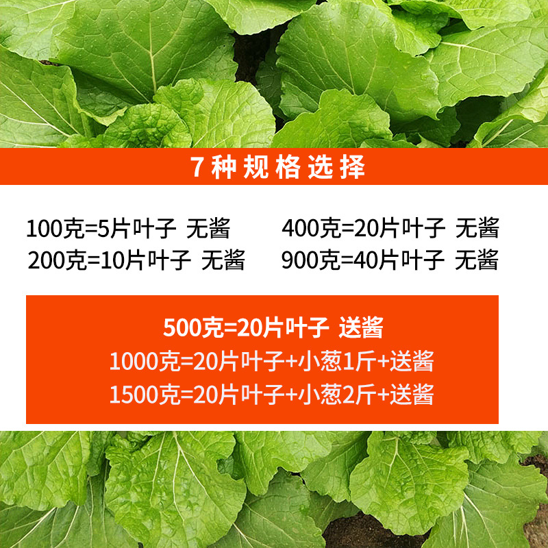 Fresh Cabbage Leaves from Northeastern Farm Vegetables, Rice Wraps, Cabbage Leaves Dipped in Pickles, Freshly Picked and Shipped, 20 Leaves