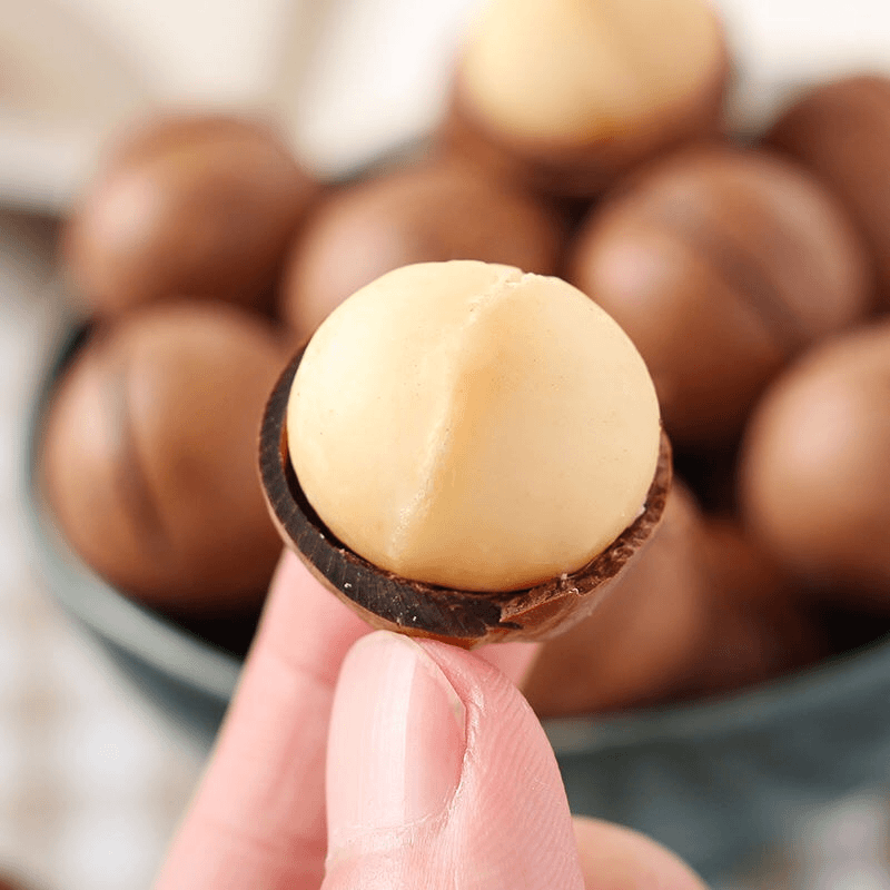 Macadamia Nut Milk Flavored Summer Fruit 500g Bulk Large Walnut Cream Macadamia Nuts