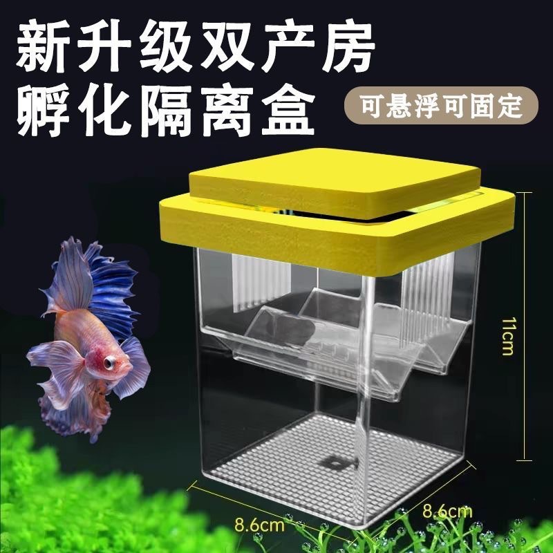 26-Year New Model Fish Tank Isolation Box Aquarium Strong Suction Cup Thickened Female Fish Floating Hatching Box Breeding Box