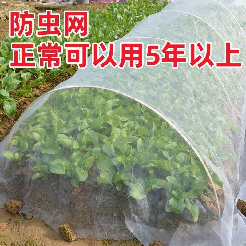 Insect-Proof Net for Vegetable Greenhouses, Agricultural Breeding Net, Mosquito-Proof Net, Vegetable Net, Locust-Proof Mesh Net, Garden Insect Net, Mesh Net