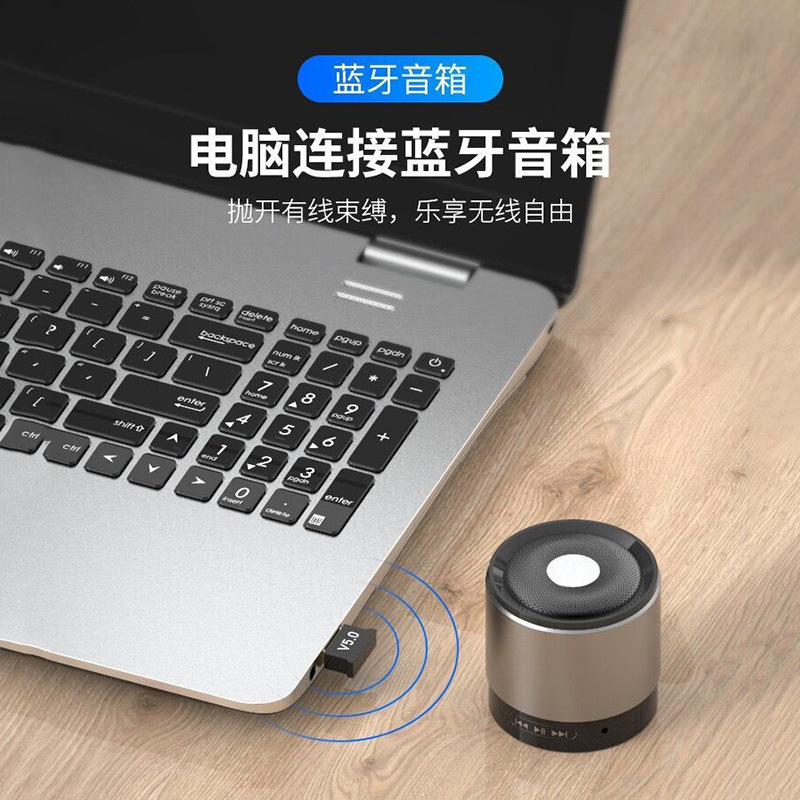Bluetooth Adapter 5.0 Driver-Free Laptop Desktop Computer USB Bluetooth Receiver Wireless Audio Converter