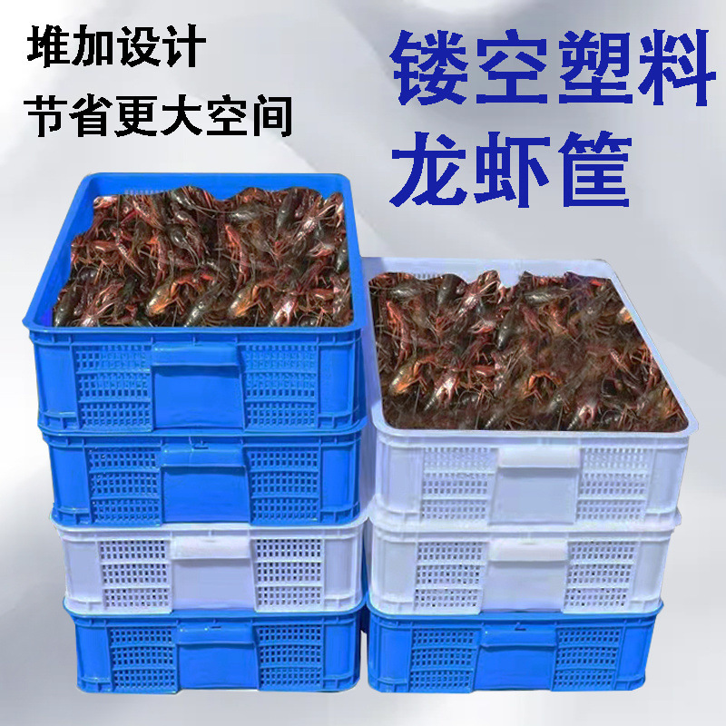 Пластиковая корзина для транспортировки с крышкой для разведения, плоские прямоугольные грибы, живые креветки, фрукты и овощи, доставка через Amazon