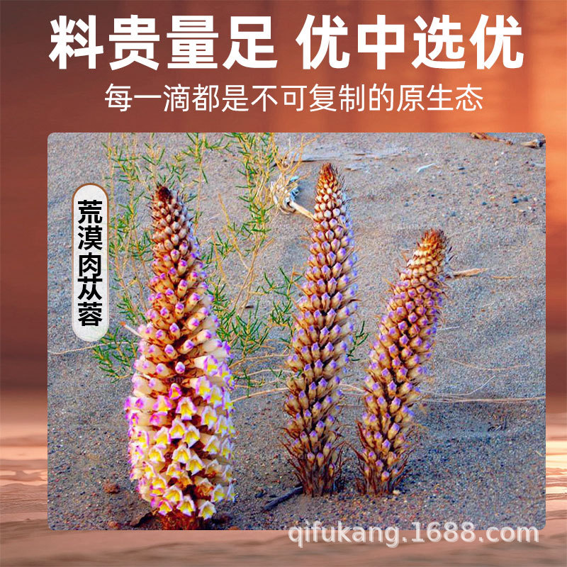【Qimengkang】Cistanche Deserticola Original Juice Drink Inner Mongolia Alxa Desert Cistanche Deserticola Freshly Squeezed Puree Wholesale