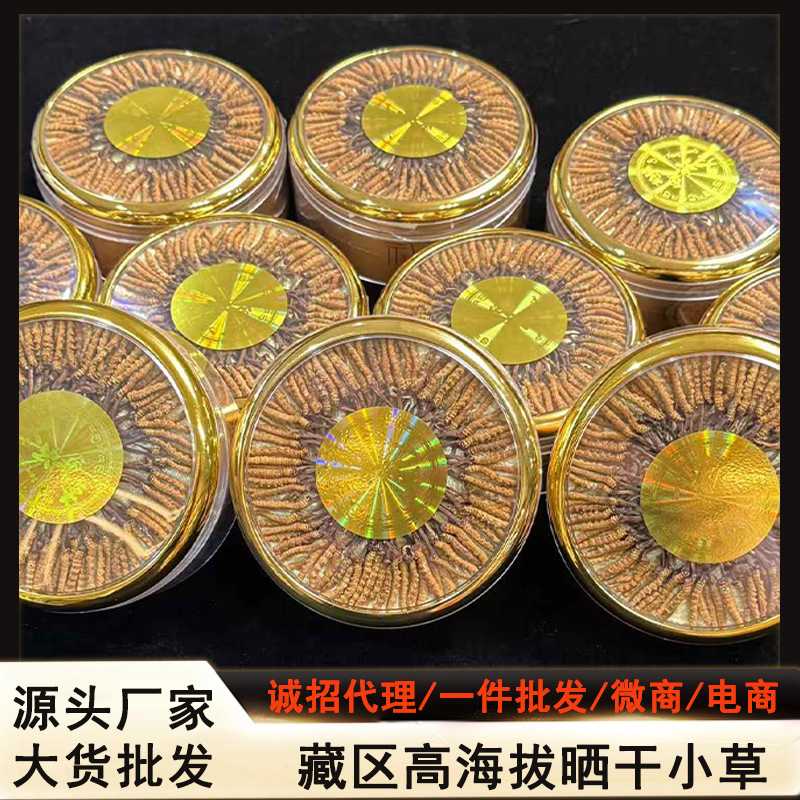 2025 Naturally Sun-Dried Cordyceps Sinensis Qinghai Xizang Nagqu High-Altitude Cordyceps Nourishing Dry Goods Wholesale from the Place of Origin