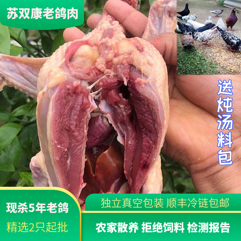 Su Shuangkang ® Old Pigeon Meat Soup, Farm-Raised Freshly Slaughtered Grass Pigeons, 5-Year-Old Large Meat Pigeons, Sf Chilled to Your Home
