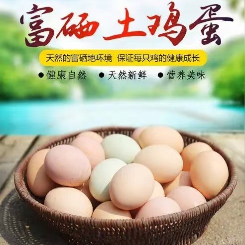 Яйца, богатые селеном, яйца от кур свободного выгула, можно есть сырыми, стерильные, свежие, аутентичные яйца от кур свободного выгула, оптовая продажа большими партиями