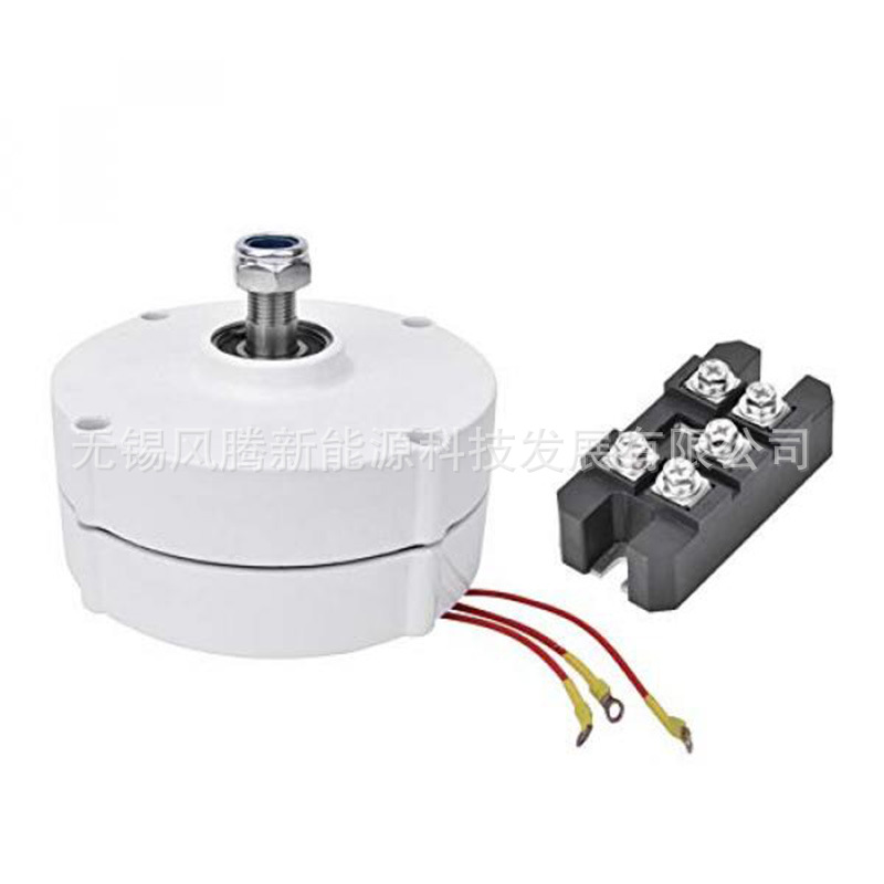 S-200W 12V24V48V Three-Phase Ac Rare Earth Permanent Magnet Generator Can Be Labeled for Shipping