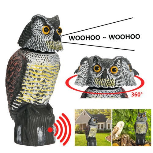 Popular Recommendation: Simulated Cross-Border Shaking Owl Living Room Plastic Crafts Garden Outdoor Bird and Mouse Repellent Ornaments