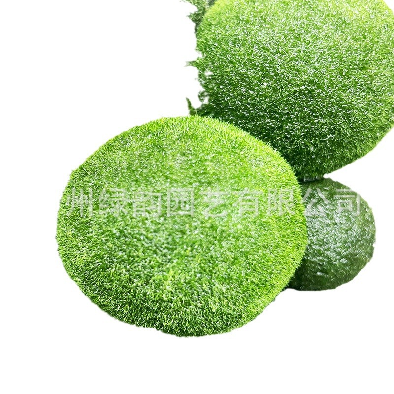marimo happy seaweed ball ornamental live real aquatic plants wholesale micro landscape eco bottle aquarium non-green algae ball