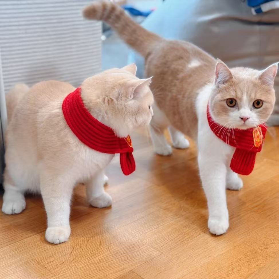 Cat and Dog Neck Scarf, New Year Pet Cat Scarf, Puppy Neck Scarf, Festive Cat Scarf, Manufacturer in Stock Wholesale
