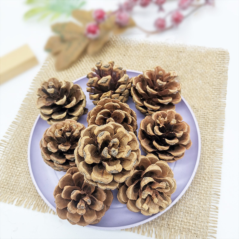 Натуральная шишка сосны рождественское украшение древесные сухие цветы вечный цветок окрашенная белая сосновая шишка DIY аксессуары рождественские фрукты оптом