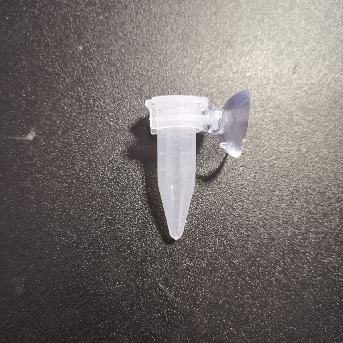 Fengnian Shrimp Egg Feeder Automatic Feeder Ornamental Fish Feeding Small Fish Feeder Fish Tank Feeder