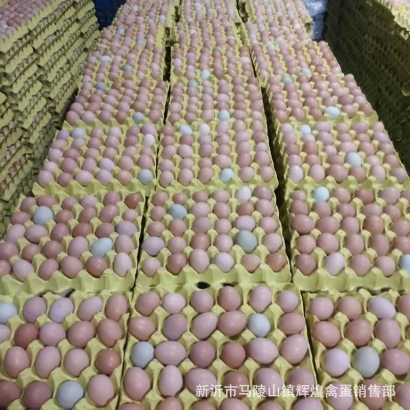 Оптовая продажа свежих яиц от фермерских кур, травяных яиц, яиц, порошковых яиц, свежих яиц, яиц, приготовленных на дровах, яиц с злаками